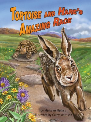 cover image of Tortoise and Hare's Amazing Race